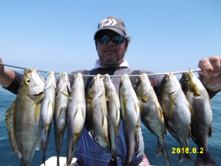 まとばや 釣果