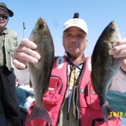 まとばや 釣果