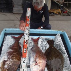 久六釣船 釣果