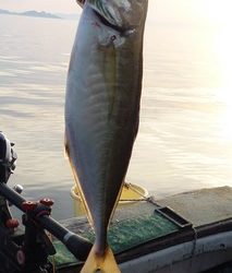 松福丸 釣果