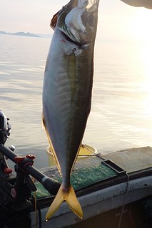 松福丸 釣果