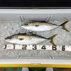 火遠理丸（ほおりまる） 釣果