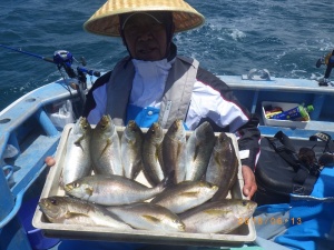 石川丸 釣果