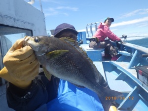 石川丸 釣果