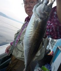 松福丸 釣果