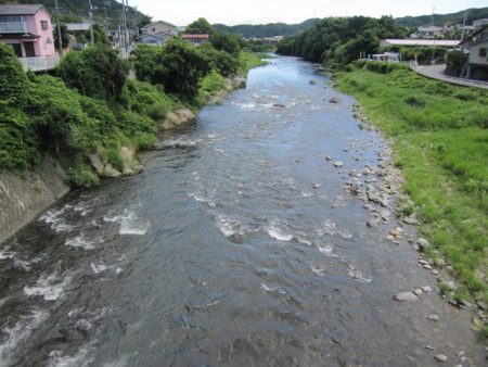 狩野川（狩野川漁業協同組合） 釣果