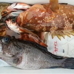 宝昌丸 釣果