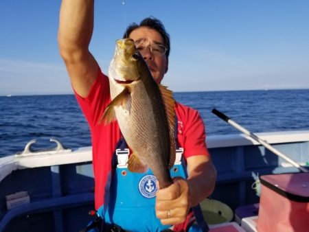 しまや丸 釣果