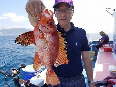 しまや丸 釣果