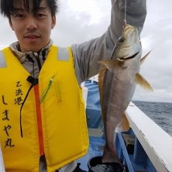 しまや丸 釣果