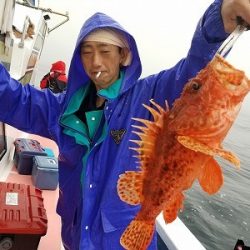 しまや丸 釣果