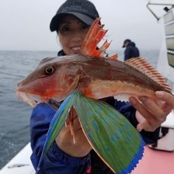 しまや丸 釣果