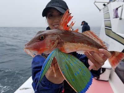 しまや丸 釣果