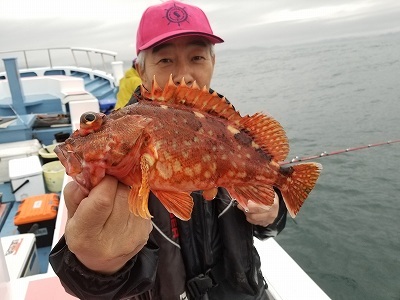 しまや丸 釣果