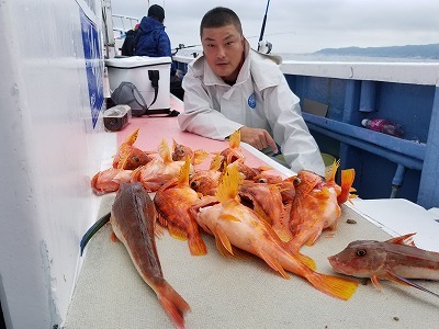 しまや丸 釣果