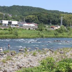 狩野川（狩野川漁業協同組合） 釣果