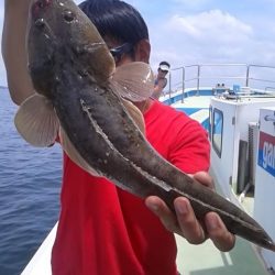 さわ浦丸 釣果