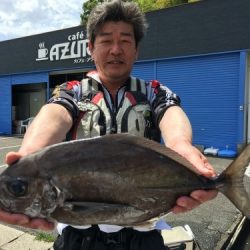 鵜来島家本渡船 釣果