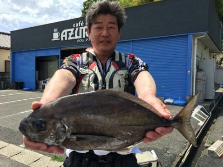 鵜来島家本渡船 釣果