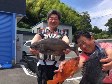 鵜来島家本渡船 釣果