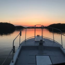 まると屋 釣果