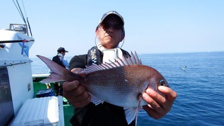 第三むつりょう丸 釣果