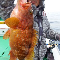 第三むつりょう丸 釣果