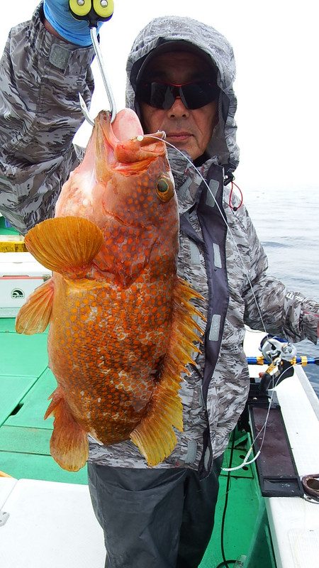 第三むつりょう丸 釣果