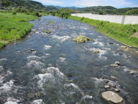 狩野川（狩野川漁業協同組合） 釣果