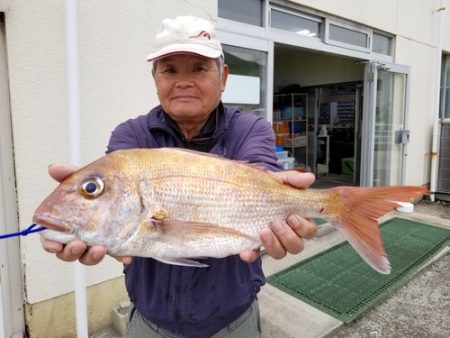 桑田観光 釣果