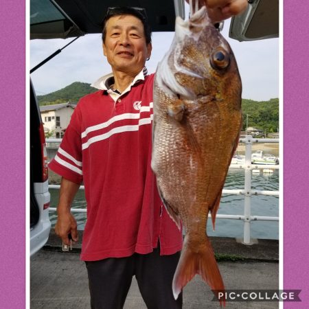 桑田観光 釣果