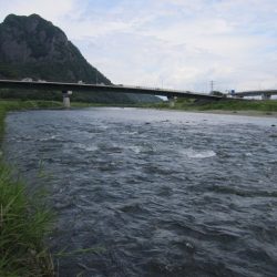 狩野川（狩野川漁業協同組合） 釣果