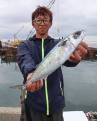 魚英 釣果