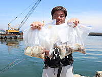 魚英 釣果