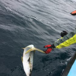 松鶴丸 釣果