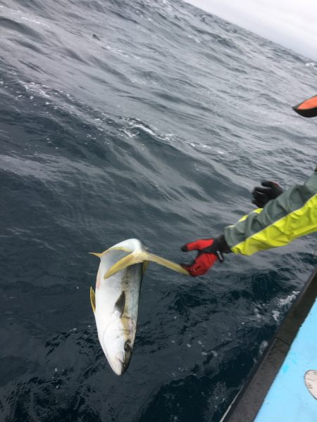 松鶴丸 釣果