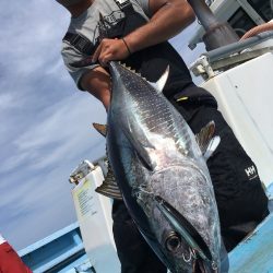 松鶴丸 釣果