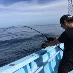 松鶴丸 釣果