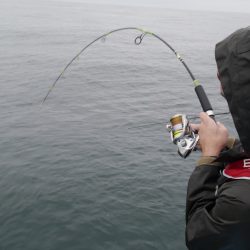 松鶴丸 釣果