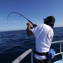 松鶴丸 釣果