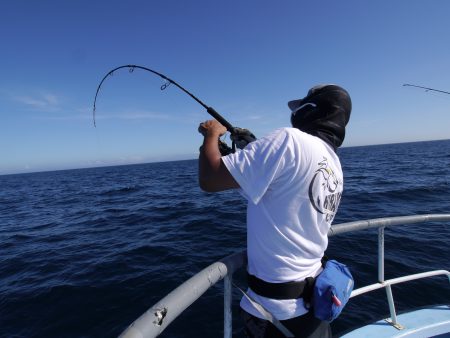 松鶴丸 釣果