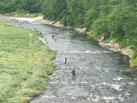 秩父フライフィールド 釣果