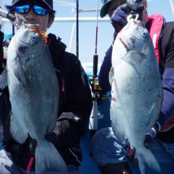 阿波哲 釣果