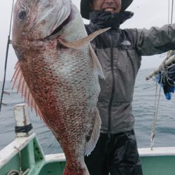 だて丸 釣果