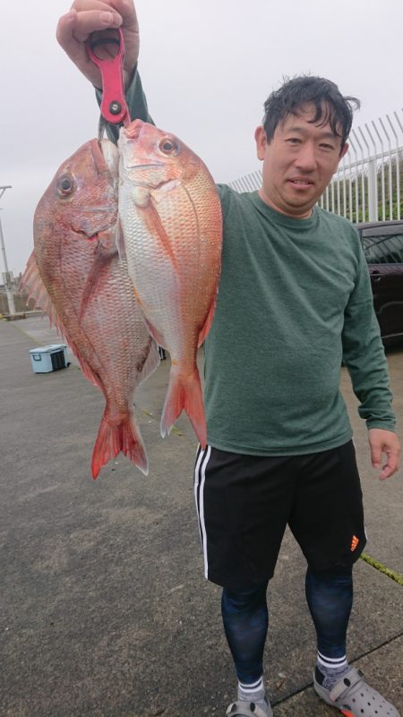 だて丸 釣果