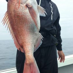 鷹王丸 釣果