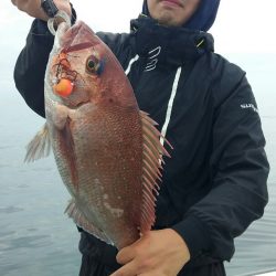 鷹王丸 釣果