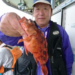 小島丸 釣果