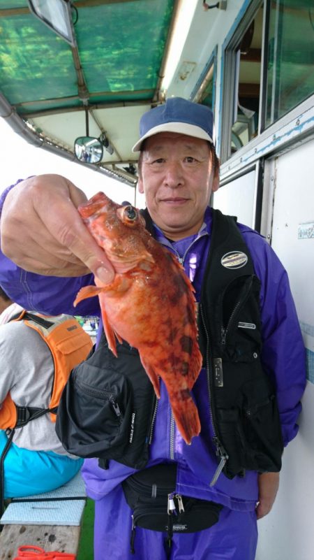 小島丸 釣果