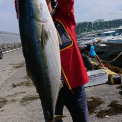 だて丸 釣果